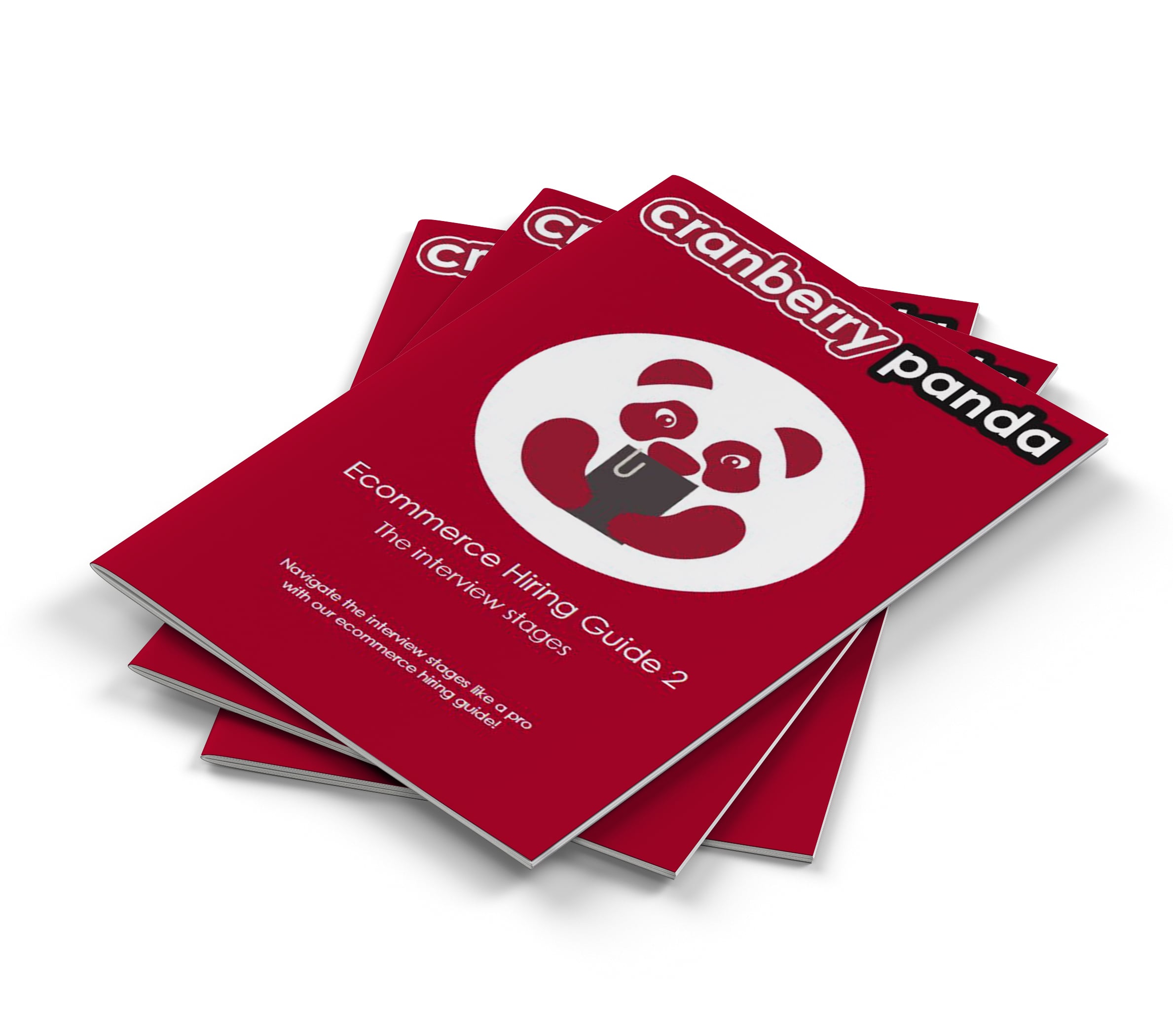 Ecommerce Hiring Guide 2