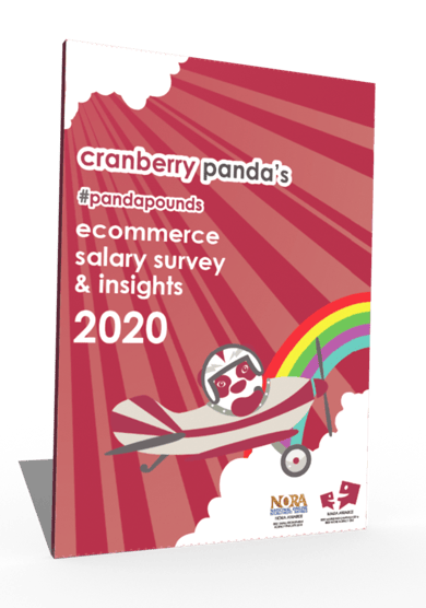 Ecommerce Salary Survey & Insights Report 2020